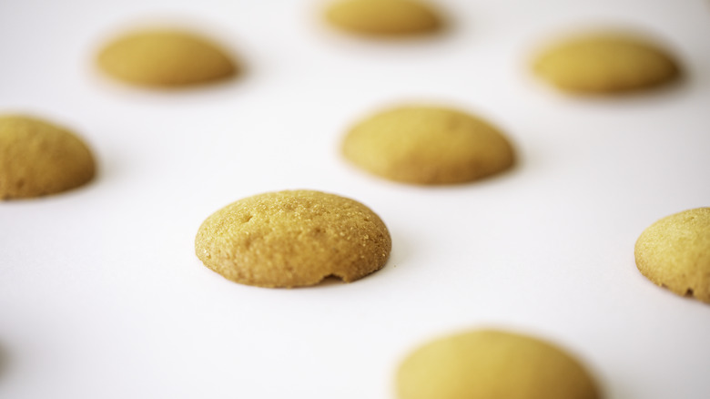 vanilla wafers on white surface