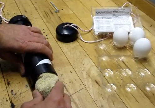 Video: How To Scramble An Egg In A Shell