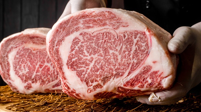 Wagyu beef with beautiful red pattern and marbling