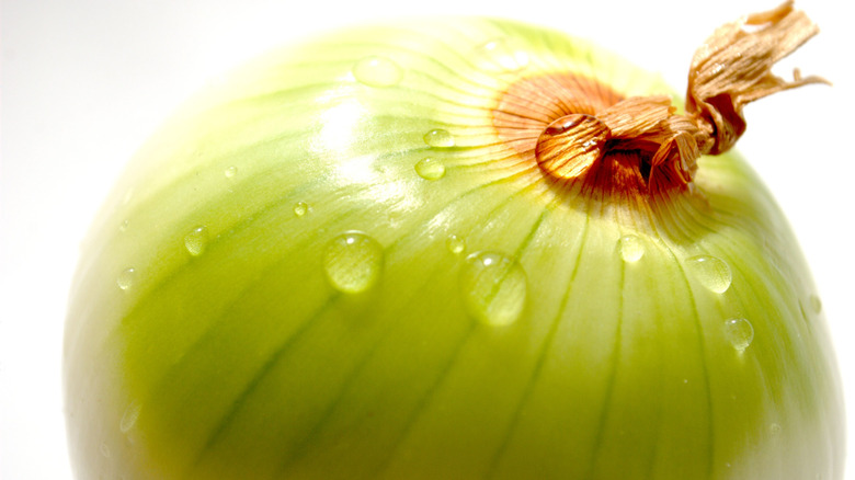 Closeup of an onion with water droplets on it