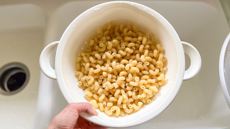 Cooked pasta in colander