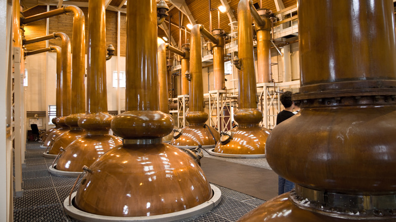whiskey distills