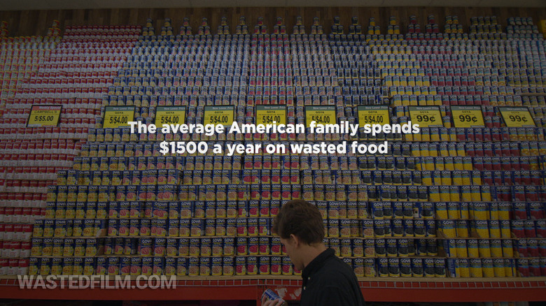 AverageAmericanWaste (1)