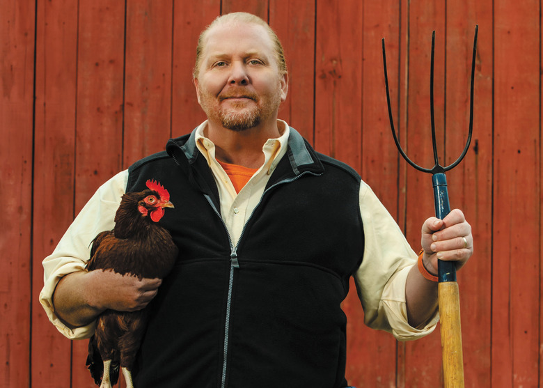 Watch Oysters Go From Table To Sea In Mario Batali's Reverse Video Series