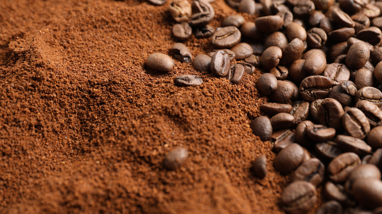 coffee grounds transitioning to coffee beans