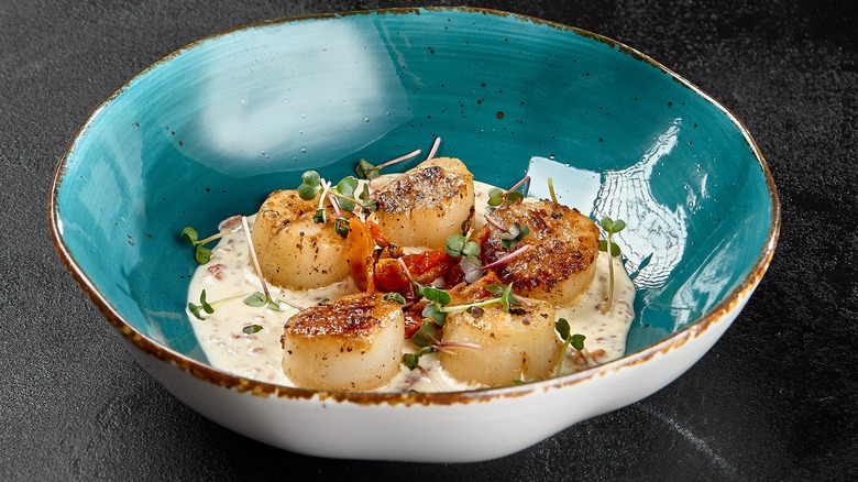 seared scallops plated over creamy sauce