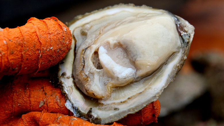 Fisherman holding Bluff oyster
