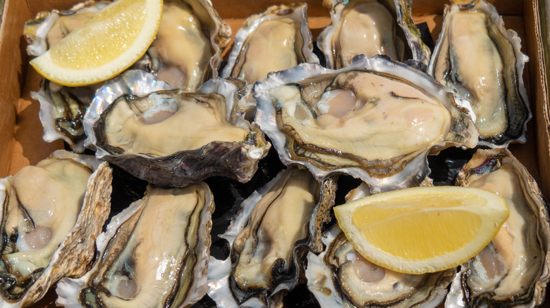 Bluff oysters and lemon wedges