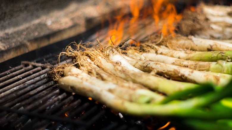 calçot onions roasting on open flame