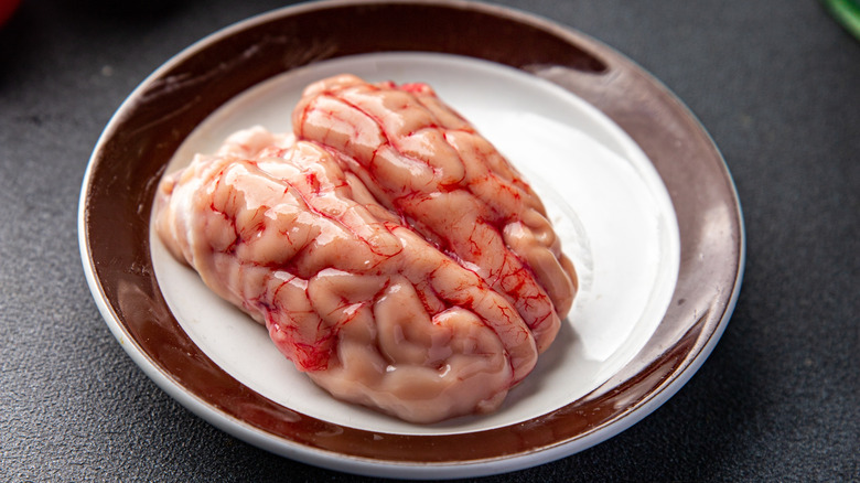 Raw pork brain on a plate