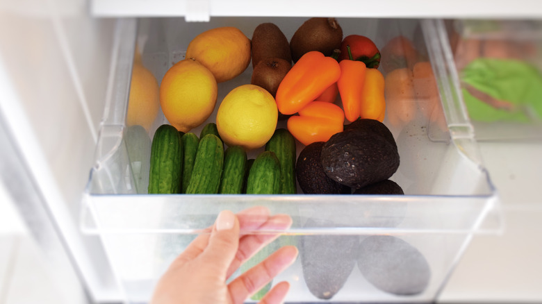 Hand opening crisper drawer