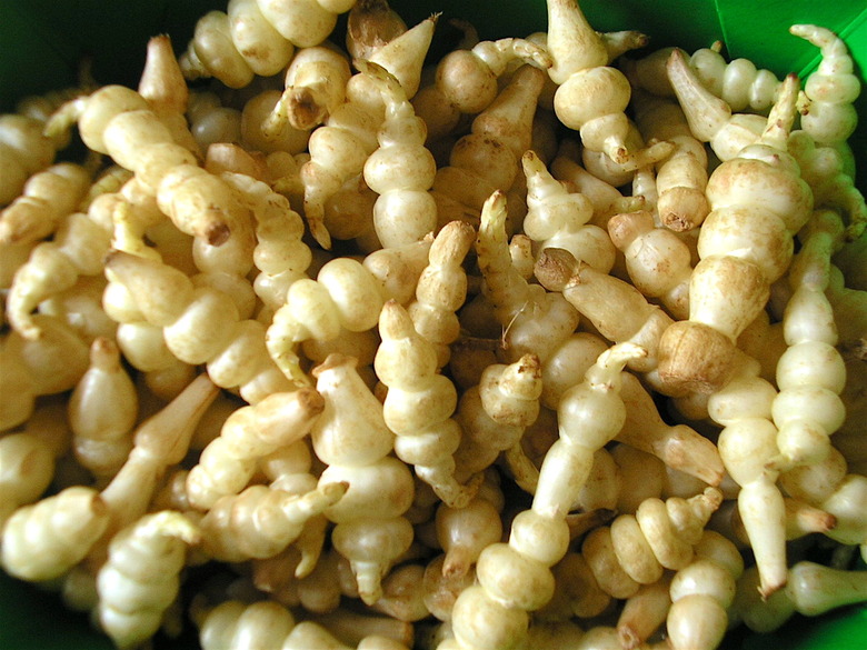 crosnes