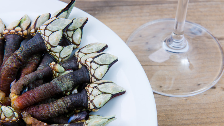 gooseneck barnacles on white plate