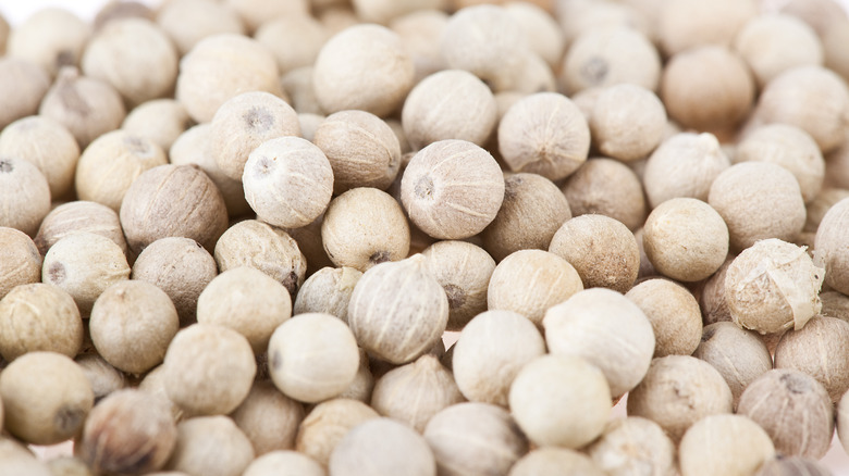 pile of white peppercorns
