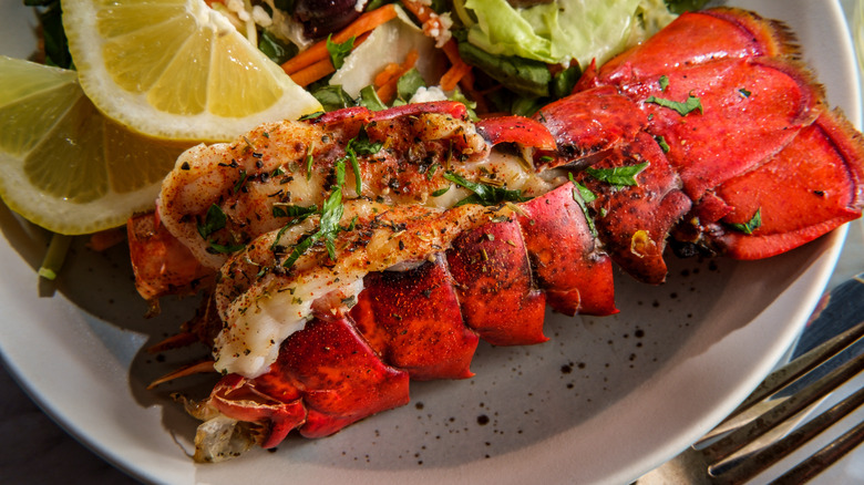 Grilled lobster tail