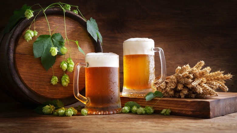 Beer mugs with grain and hops