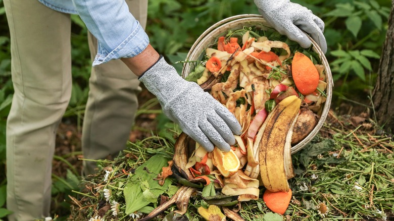 Someone composting food scraps