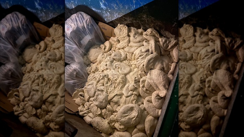 An image of Domino's dough in a dumpster.