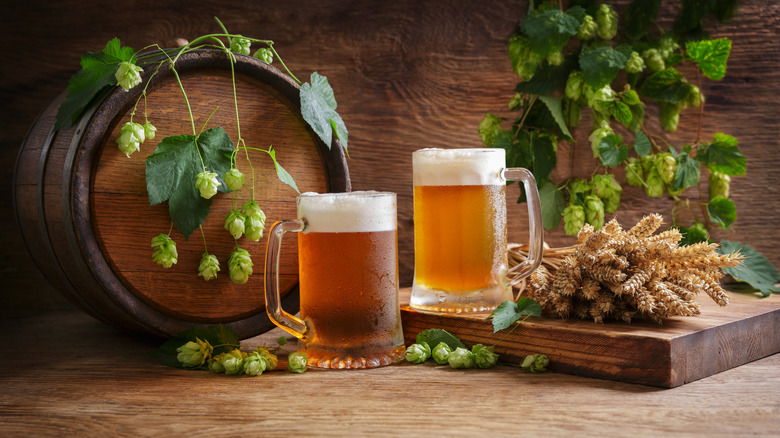 Mugs of beer next to green cones of hops.
