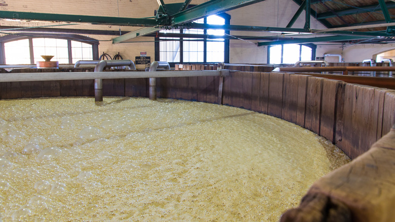 bourbon mash fermenting in vat