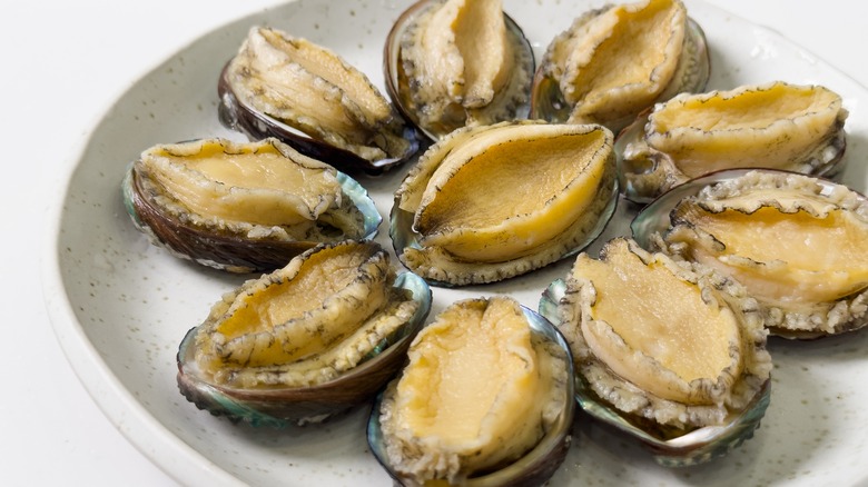 Plate of abalone in shells
