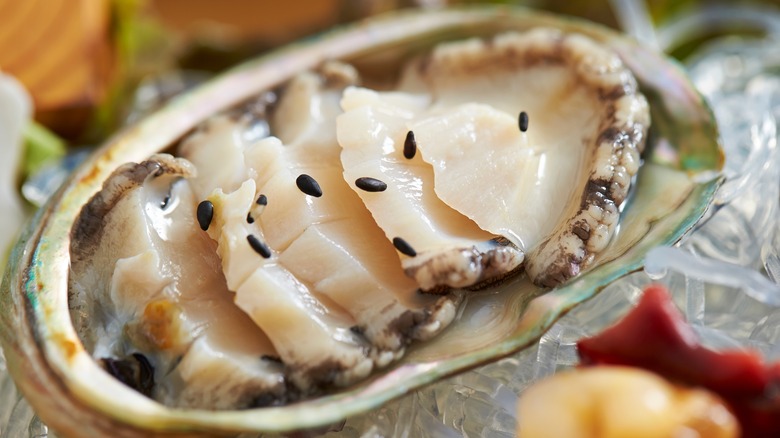 fresh abalone sashimi in shell