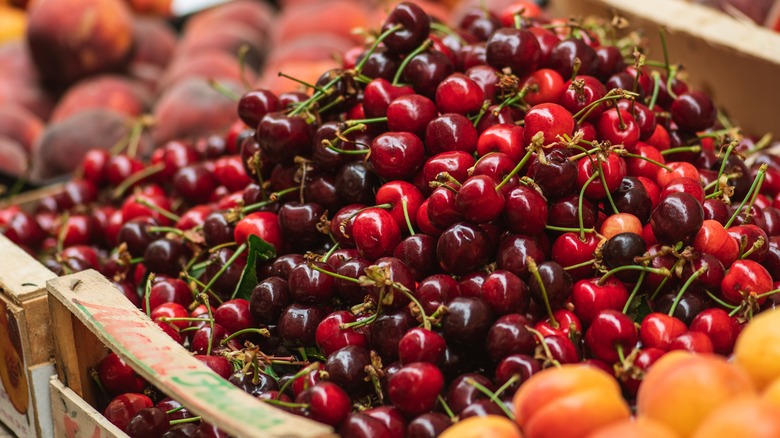 Peaches, cherries, and apricots on display