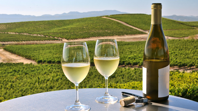 glasses of Chardonnay overlooking vineyard