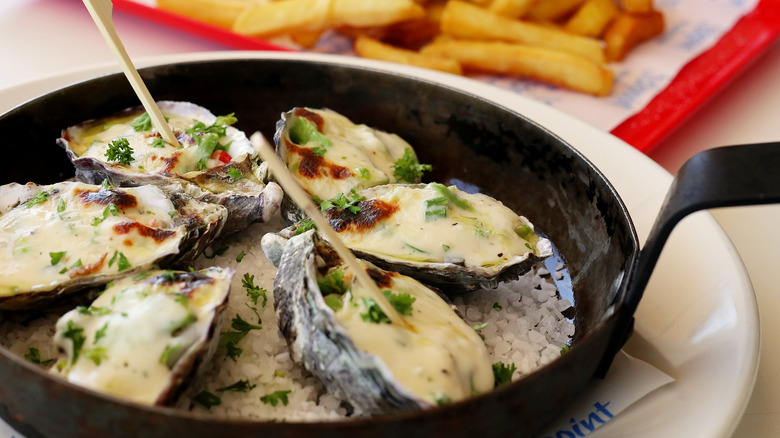 a skillet of oysters sit on rock salt and are topped with mornay sauce and fresh parsley
