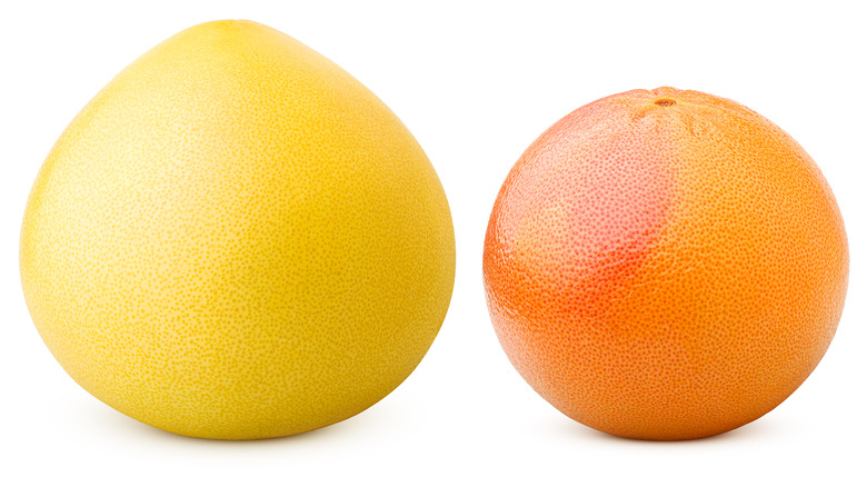 Whole pomelo and grapefruit