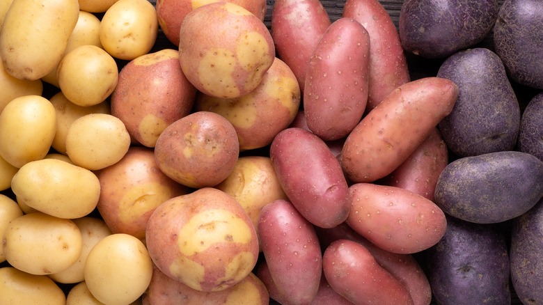 types of potatoes