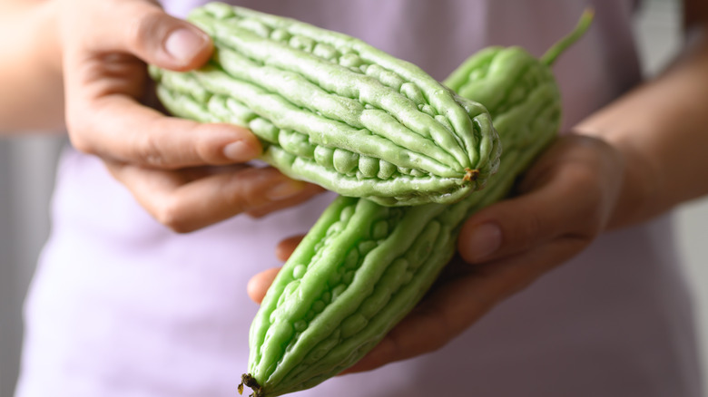 Hands holding bitter melons