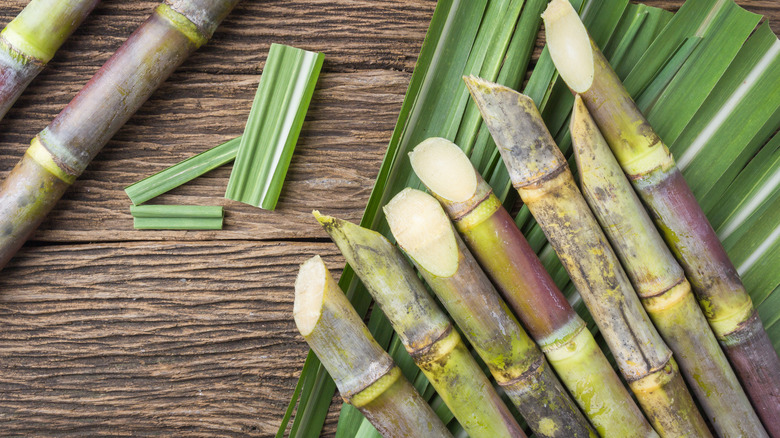 Raw sugar cane stalks 