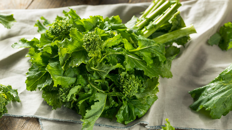 Bunch of broccoli rabe