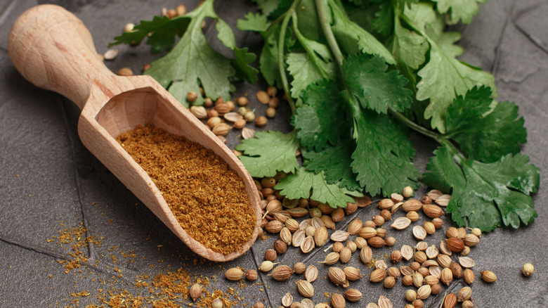 Coriander seeds and cilantro leaves