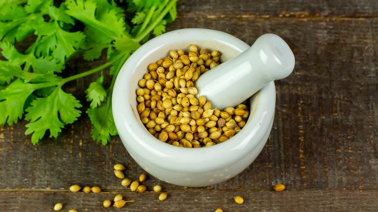 Coriander seeds in mortar and pestle