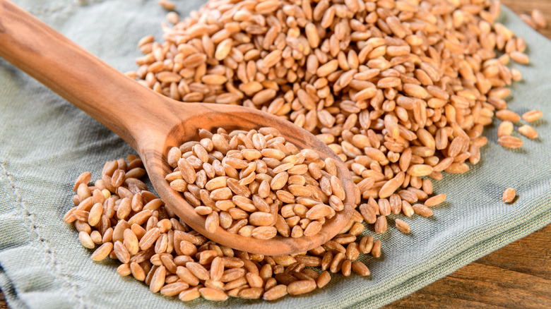 Pile of farro with wooden spoon