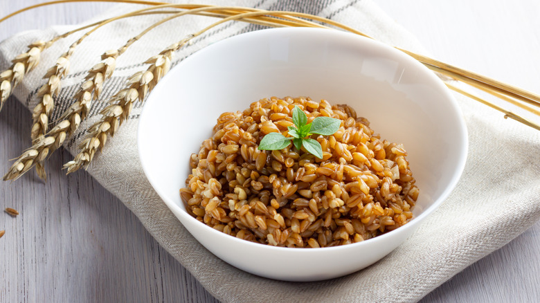 Bowl of cooked farro