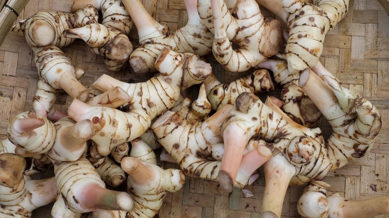 Galangal in basket