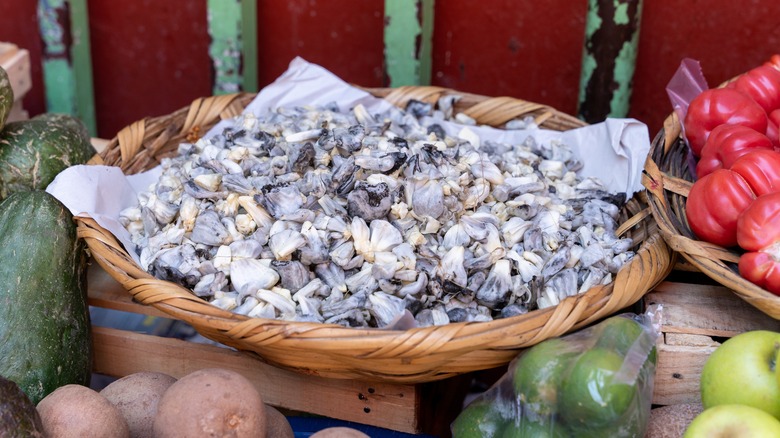 basket of fresh huitlacoche