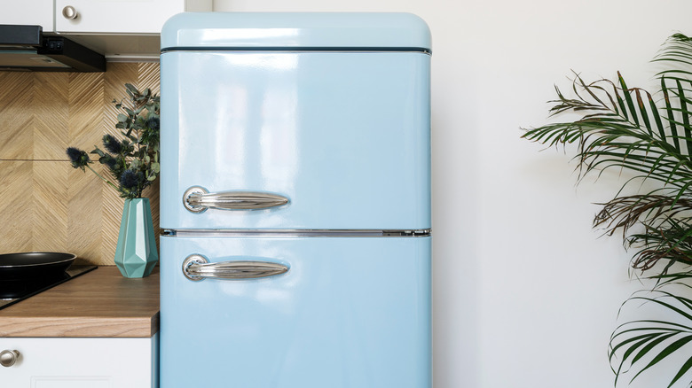 blue fridge in kitchen
