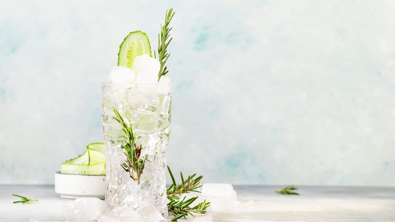 Vodka cocktail with rosemary and cucumber garnishes 
