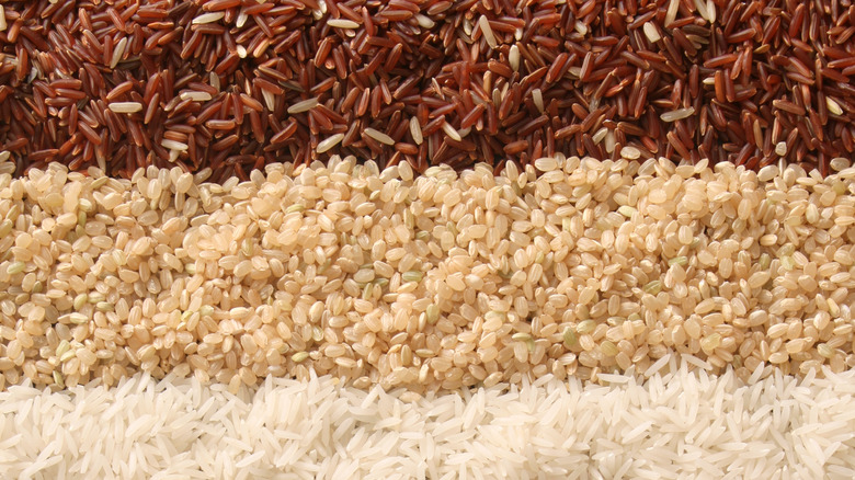 red brown white rice varieties
