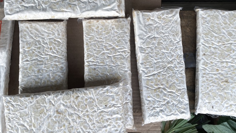multiple slabs of raw tempeh