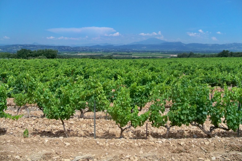 Terroir_du_Massif_d'Uchaux