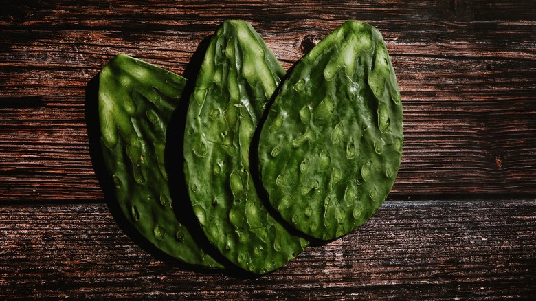 Catcus paddles aka nopales