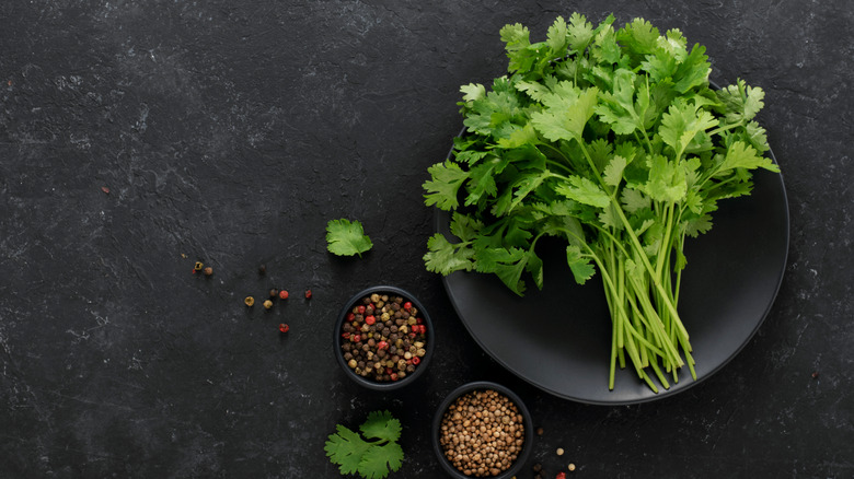 A bunch of cilantro on a plate