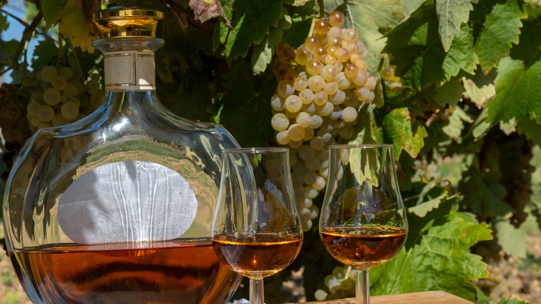 Cognac bottle and two glasses on table in Cognac region