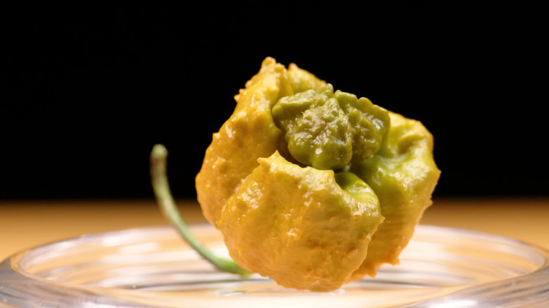 The Pepper X on a glass pedestal