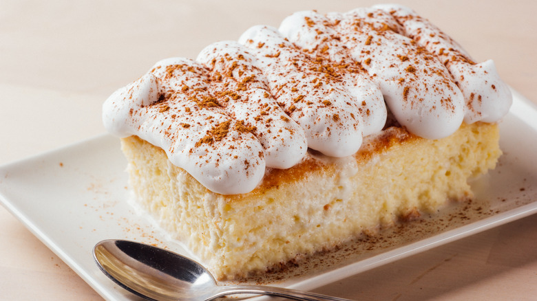 Slice of tres leches cake